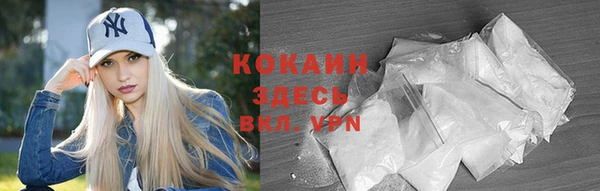 сатива Вяземский