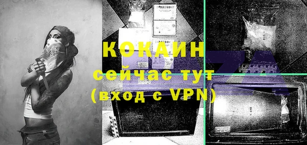сатива Вяземский