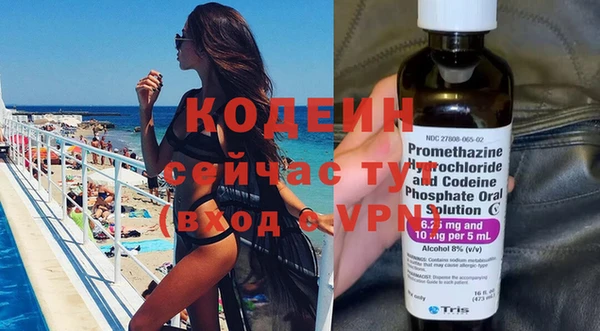 сатива Вяземский