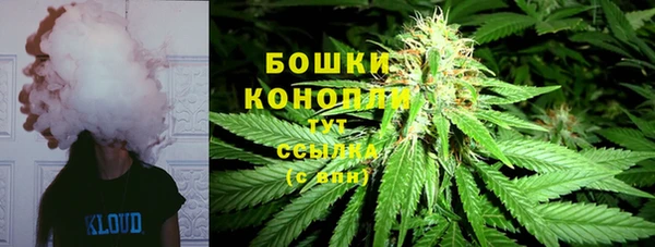 сатива Вяземский