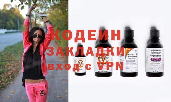 сатива Вяземский