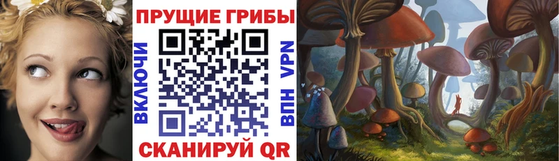 Галлюциногенные грибы прущие грибы  Купить закладки  Урюпинск 